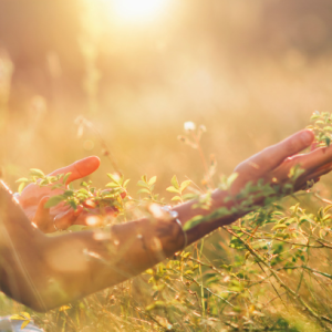 Durch Energiearbeit kannst Du Deine Selbstheilungskräfte aktivieren!