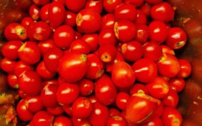 #2 – mit Vitamin C die natürliche Stärkung des Immunsystems in der Erkältungszeit bewirken!