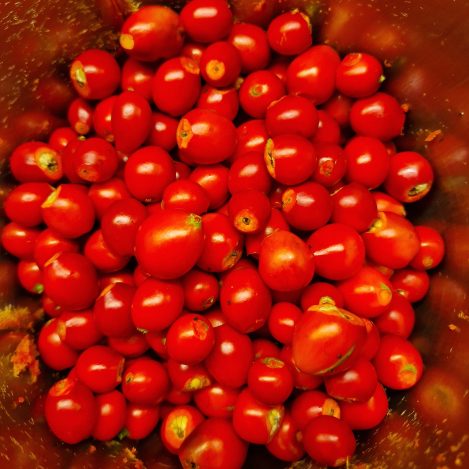 #2 – mit Vitamin C die natürliche Stärkung des Immunsystems in der Erkältungszeit bewirken!