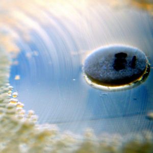 Spirituelles Coaching