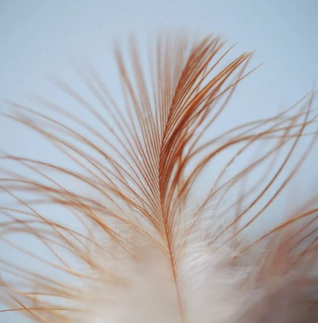 Transformiere Deine Hochsensibilität in Medialität!