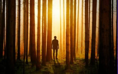 Schattenarbeit – Was schlummert alles in Dir?