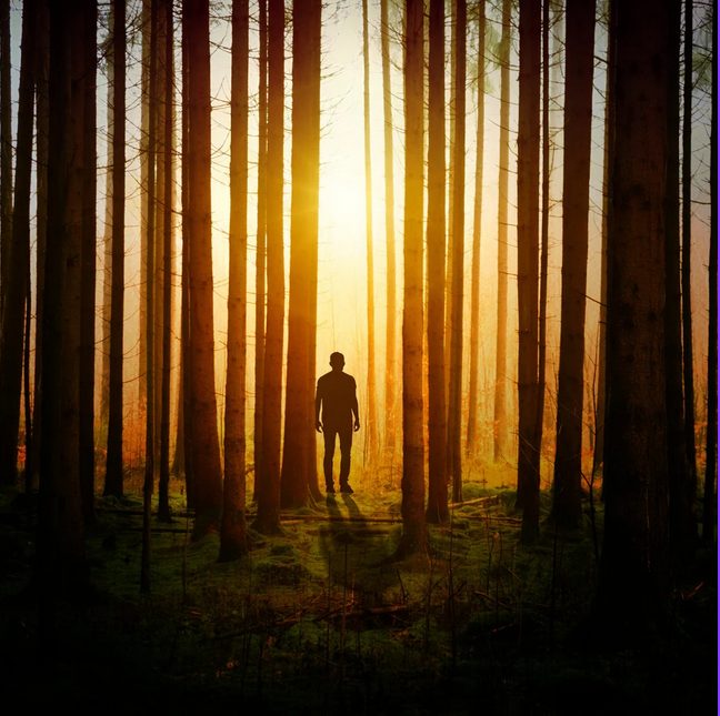 Wo Licht ist, ist auch Schatten