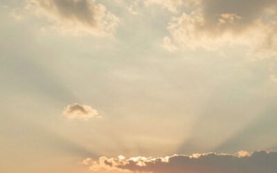 Gespräche mit Gott – Mein Lieblingsbuch, was mein Leben verändert hat